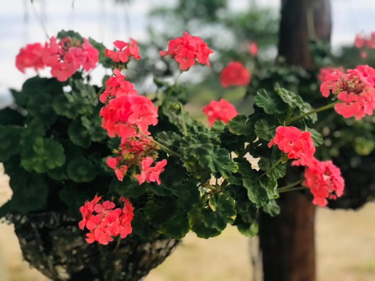 Hotel Fazenda Triunfo Areia Zewnętrze zdjęcie
