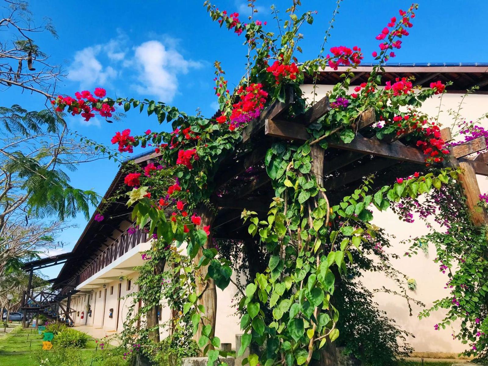 Hotel Fazenda Triunfo Areia Zewnętrze zdjęcie